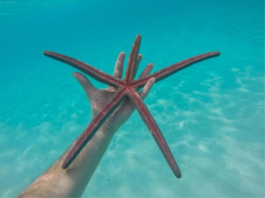 Holiday Cottage Thoddoo, Maldives Εξωτερικό φωτογραφία