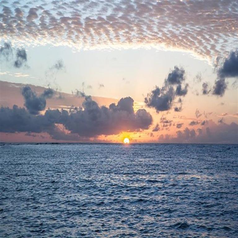 Holiday Cottage Thoddoo, Maldives Εξωτερικό φωτογραφία