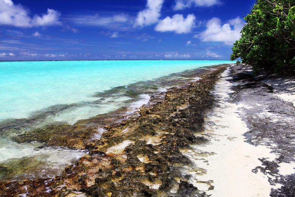 Holiday Cottage Thoddoo, Maldives Εξωτερικό φωτογραφία