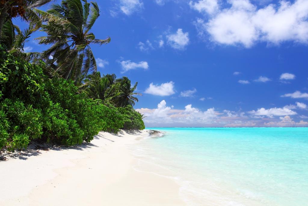 Holiday Cottage Thoddoo, Maldives Εξωτερικό φωτογραφία