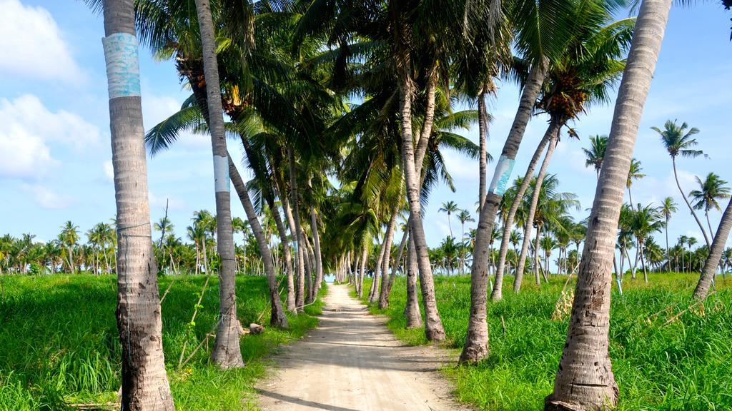 Holiday Cottage Thoddoo, Maldives Εξωτερικό φωτογραφία