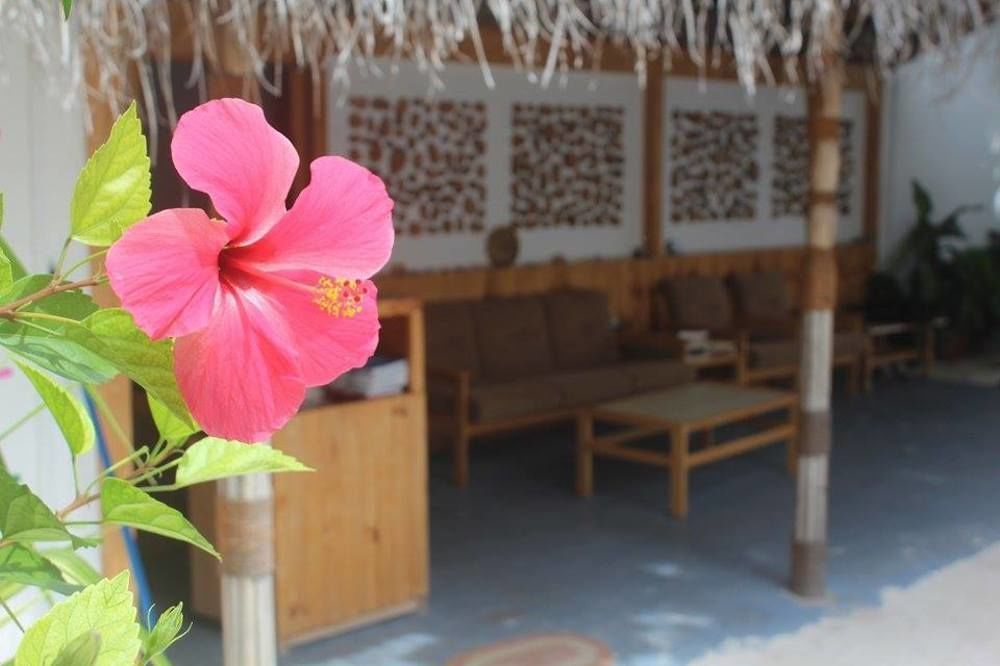 Holiday Cottage Thoddoo, Maldives Εξωτερικό φωτογραφία