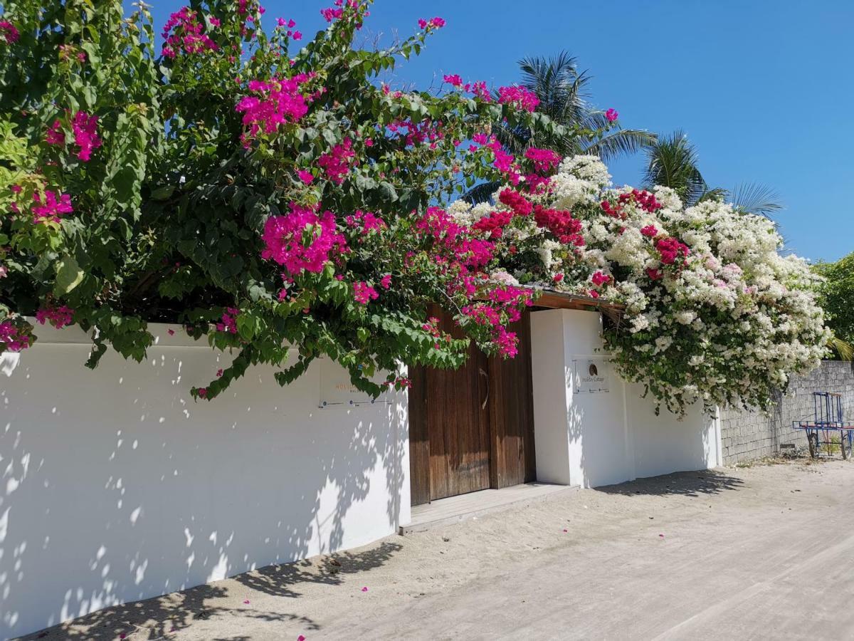 Holiday Cottage Thoddoo, Maldives Εξωτερικό φωτογραφία